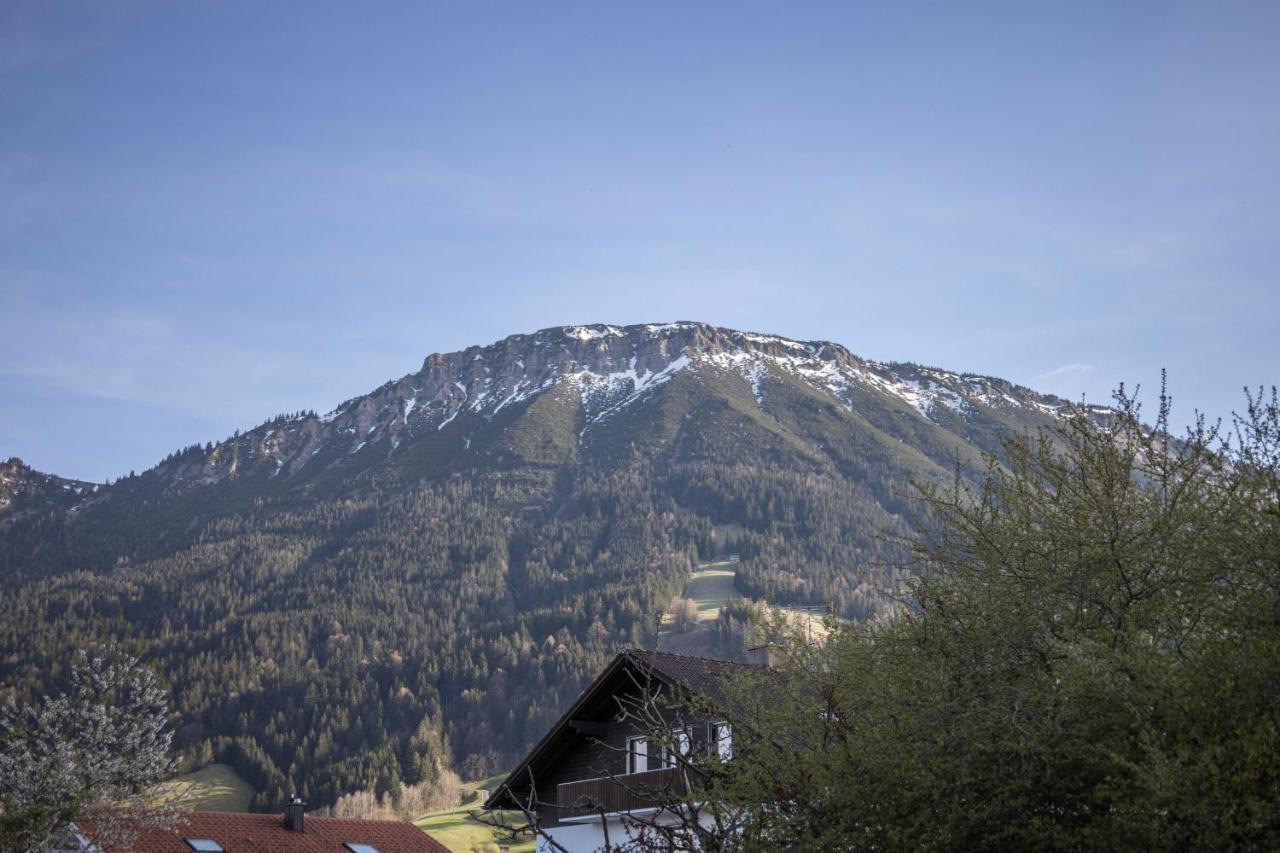 Haus Bergliebe - Zugspitzblick ฟรอนเทน ภายนอก รูปภาพ